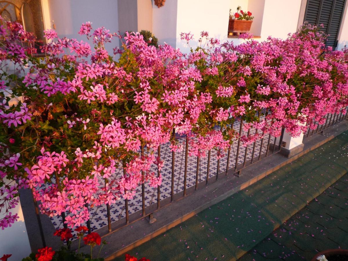 B&B Dea Fortuna Bacoli Exterior photo